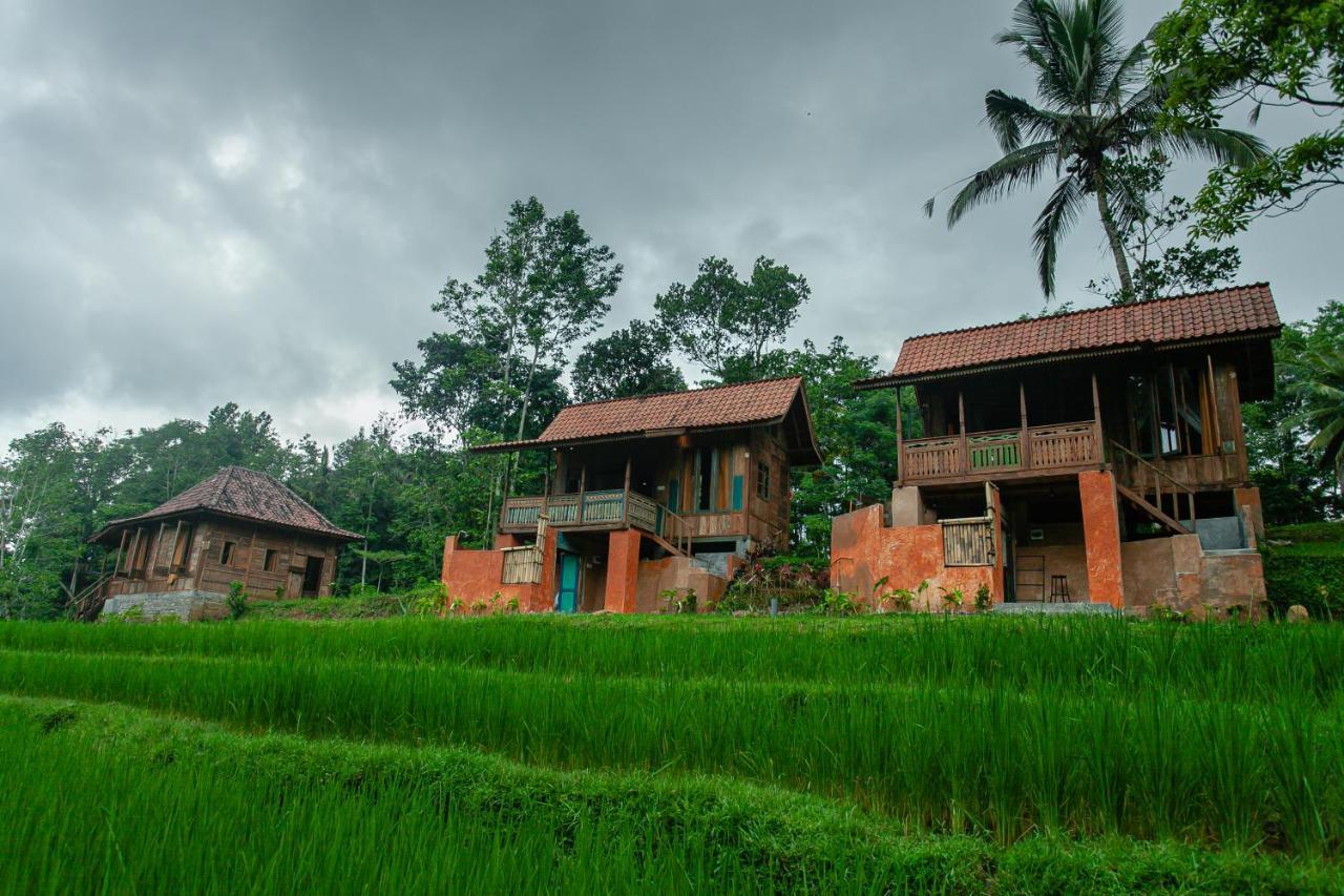 Tepi Sawah Lodge & Retreat Jatiluwih Kültér fotó