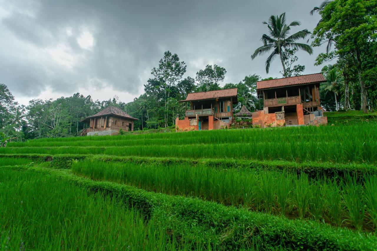 Tepi Sawah Lodge & Retreat Jatiluwih Kültér fotó
